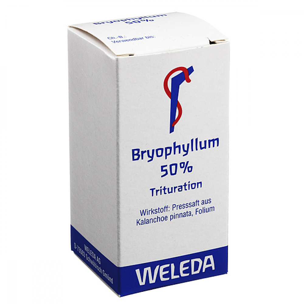Bryophyllum 50% polvere orale CONF. - 20 GR