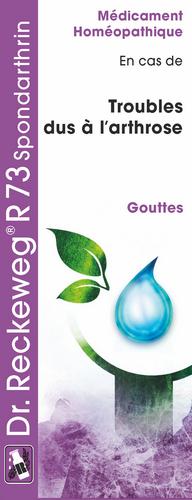 Dr Reckeweg R73 Spondartrin 50ml gocce